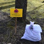 Jumpravas mežos darbojas Dabas detektīvi!