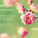 Pavasara balle kopā ar grupu 